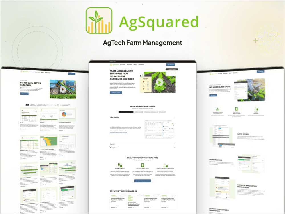 AgSquared case study preview